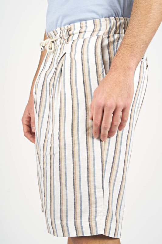 Striped Linen Blend Pleated Shorts