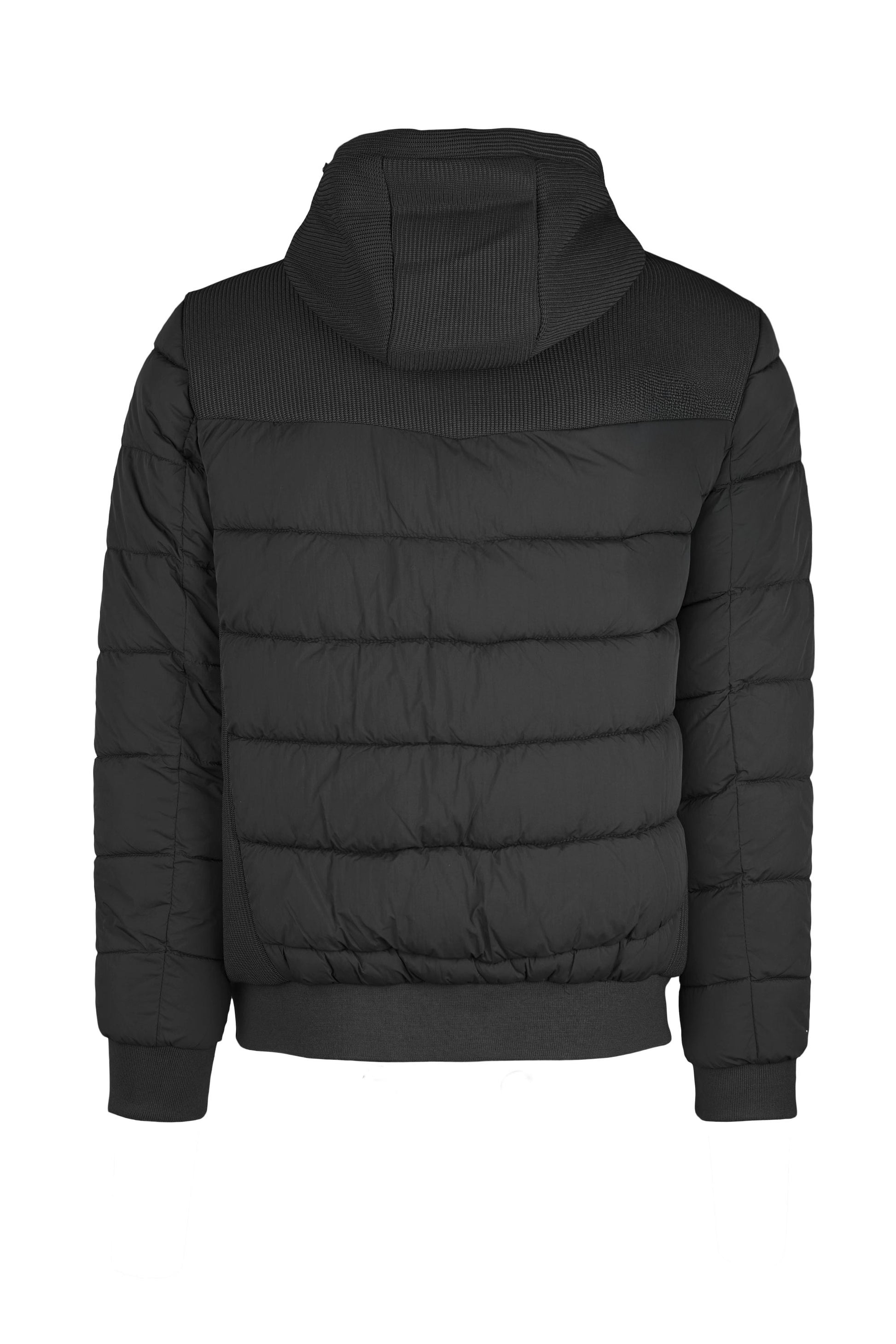 Hybrid padded jacket with hood - MONTEZEMOLO